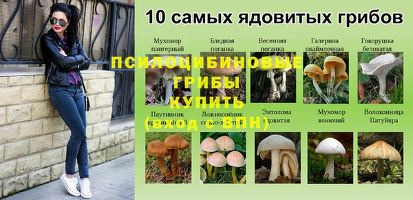 COCAINE Богородицк