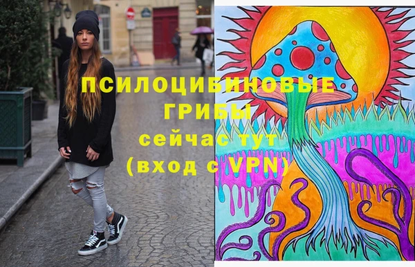 МДПВ Богданович
