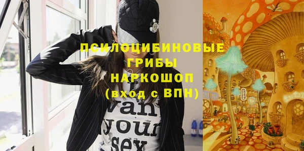 МДПВ Богданович