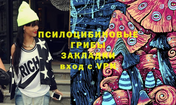 COCAINE Богородицк