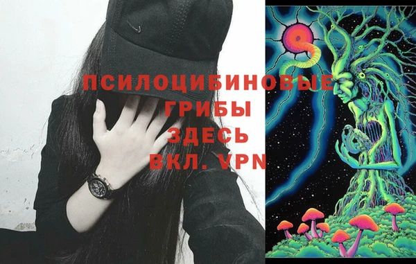 COCAINE Богородицк