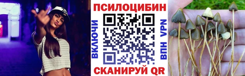 Галлюциногенные грибы MAGIC MUSHROOMS  Северск 